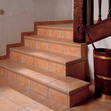 Torelo Step Exagres