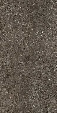 Керамогранит Casa Dolce Casa 768625 Sensi Brown Fossil Nat Ret 6mm 60x120