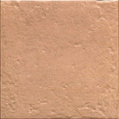 Керамогранит Mainzu PT03858 Canem Season 20x20