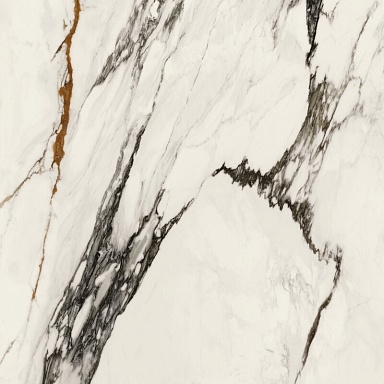 Керамогранит Porcelanosa 100331132 Xlight Paonazzo Biondo Polished 120x120