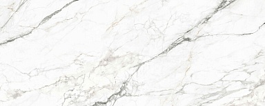 Керамогранит Basconi Home BHK-4005 Federica Shape Ink 120x300