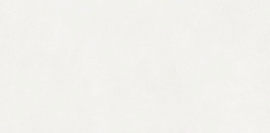 Керамогранит Neodom N110011 Aston White Matt 60x120