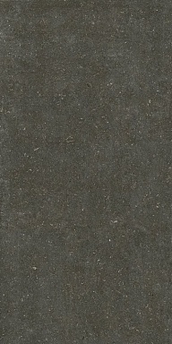 Керамогранит Casa Dolce Casa 785585 Rinascenza Arena Platino Matte 6mm 120x240