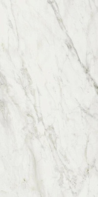 Керамогранит Cerim 760029 Exalt Magic White Luc Ret 60x120