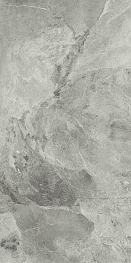 Керамогранит Italon 610010001689 Charme Extra Silver Nat Ret 80x160