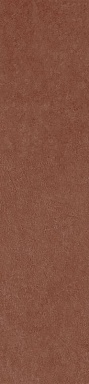 Керамогранит Simpolo Ceramics Scs Spectra Chilli 5,8х25