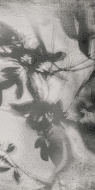 Керамогранит Flaviker PF60012582 Art Walls Shadow Nat R 60x120