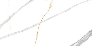 Керамогранит NT Ceramic NTT99513M Maritaca Statuario Ultra White 60x120