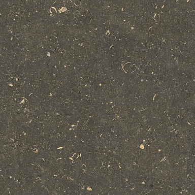Керамогранит Casa Dolce Casa 785507 Rinascenza Arena Platino Grip 20mm 120x120