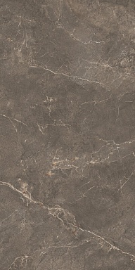 Керамогранит Kerama Marazzi KM8016G0291R Бриансон коричневый матовый обрезной 80x160x0,9