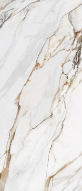 Керамогранит Ava Ceramica 163014 Macchia Antica Nat/Rett 120x280