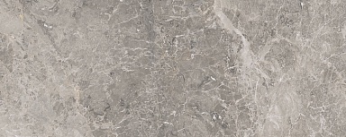 Плитка Porcelanosa 100303462 Elegant Grey 59.6x150