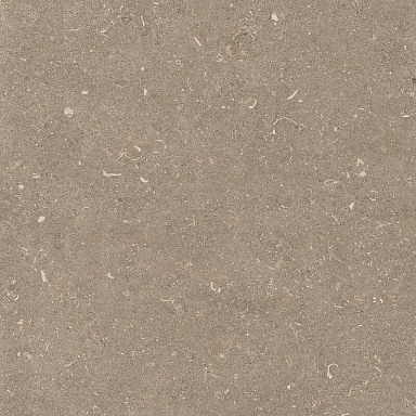 Керамогранит Casa Dolce Casa 785506 Rinascenza Arena Pietra Grip 20mm 120x120