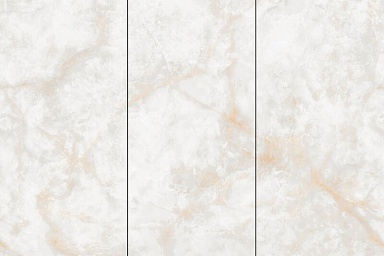 Керамогранит NT Ceramic NTT3019P (C) Li Susu Dragon 120x240