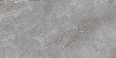 Керамогранит Neodom N20579 Orobico Grey Carving 60x120