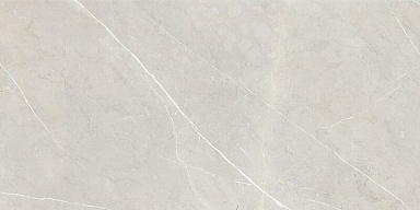 Керамогранит NT Ceramic BB612NTT9101P Bright And Shiny 60x120