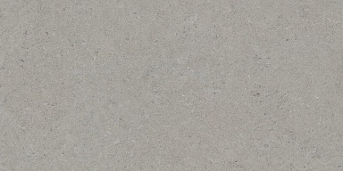 Керамогранит Tau Ceramica Calcare Silver 60x120