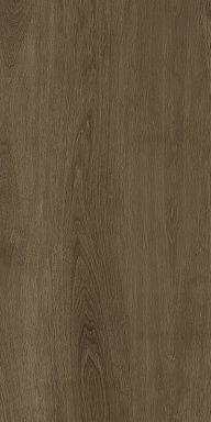Керамогранит Protiles PT12F7040 Albero Grey Matt 1200х600х9