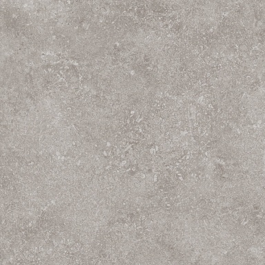 Керамогранит Porcelanosa 100324749 Verbier Silver 59.6x59.6