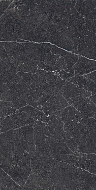Керамогранит Arcadia Ceramica RG6003-A Equistone Charcoal Rotto Glossy Ink 60x120