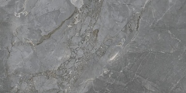 Керамогранит Keraben Fior Di Bosco Grey Starlight 120x60