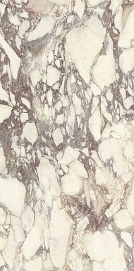 Керамогранит Ariostea PL612671 Calacatta Viola Luc 60x120