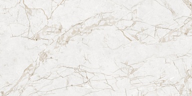 Керамогранит NT Ceramic NTT99519M Impero Grey Carving 60x120