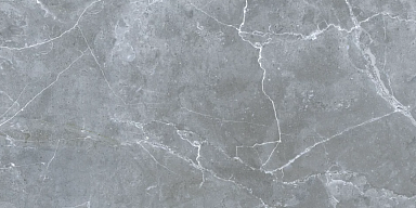 Керамогранит Gresse GRS02-16 Northern Silver матовый 120x60
