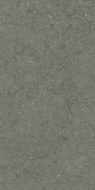 Керамогранит Italon 610010004169 Forum Stone Iron Ret 60x120