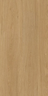 Керамогранит Protiles PT12F7041 Albero Beige Matt 1200х600х9