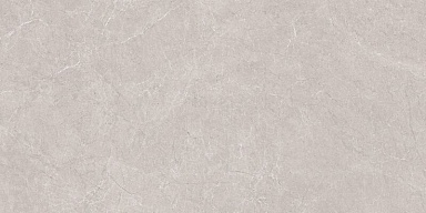 Керамогранит Neodom N20555 Aristo Grey Tm 60x120