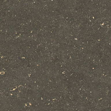 Керамогранит Casa Dolce Casa 785507 Rinascenza Arena Platino Grip 20mm 120x120