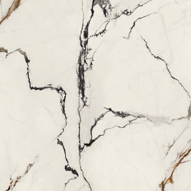 Керамогранит Porcelanosa 100331132 Xlight Paonazzo Biondo Polished 120x120