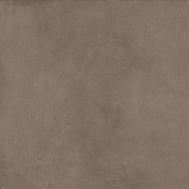 Керамогранит Atlas Concorde Italy APMF Raw Mud 60x60