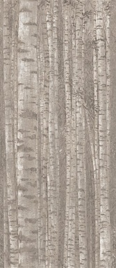 Декор Atlas Concorde Italy A0LW Boost Pro Grove 120x278