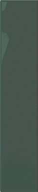 Плитка DNA Tiles Plinto Green Gloss 10.7x54.2