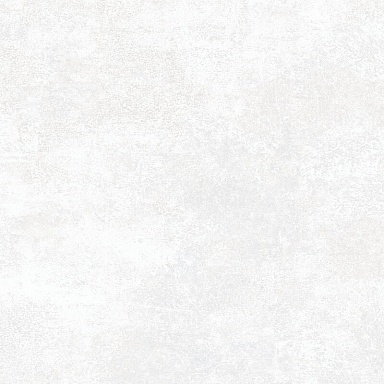 Керамогранит Alma Ceramica GFU6060BTP00R Beton Pro матовый граниль 600x600x9