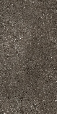 Керамогранит Casa Dolce Casa 768625 Sensi Brown Fossil Nat Ret 6mm 60x120
