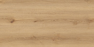 Керамогранит Global Tile GT5010026902MCR Вуди Бежевый 50x100