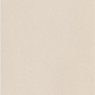 Керамогранит Imola Ceramica PRTU 60W LV PARADE 60x60