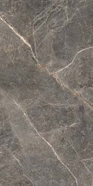 Керамогранит Global Tile GT1206023109MGR Salsa Темно-серый 60x120