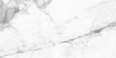 Керамогранит Pardis Ceramic Pazh 246738 Carlo Polished 80x160