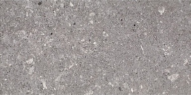 Плитка Paradyz Aragorn Grys 30x60
