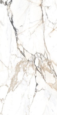 Керамогранит Alpas Euro Eco Marble 6582 Polished 60x120