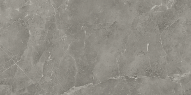 Керамогранит Atlas Concorde Italy A21F Marvel Grey Fleury 60x120