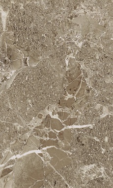 Плитка Gracia Ceramica Saloni brown 02 30*50