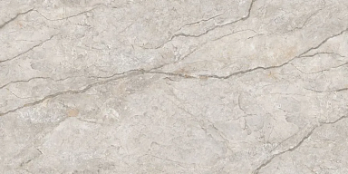 Керамогранит Neodom N20539 Elegant River Carving 60x120