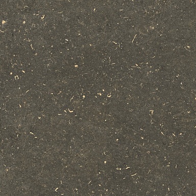 Керамогранит Casa Dolce Casa 785507 Rinascenza Arena Platino Grip 20mm 120x120