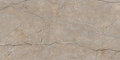 Керамогранит Cersanit 17124 Silver Roots серый матовый ректификат 60x120