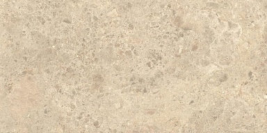 Керамогранит Atlas Concorde Italy HCRA Nyra Ambrosia Matt 60x120